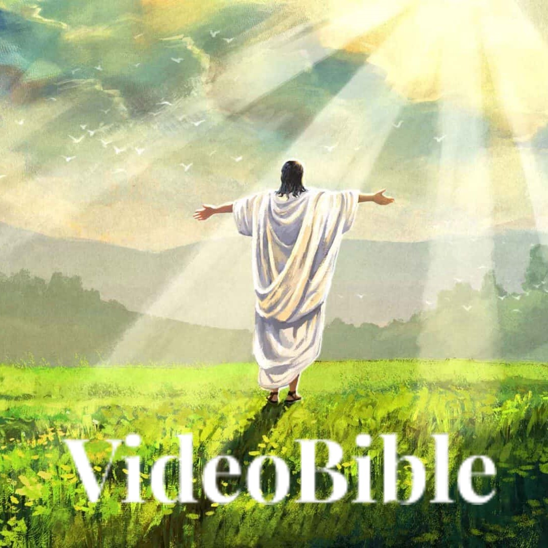 Video Bible Picture